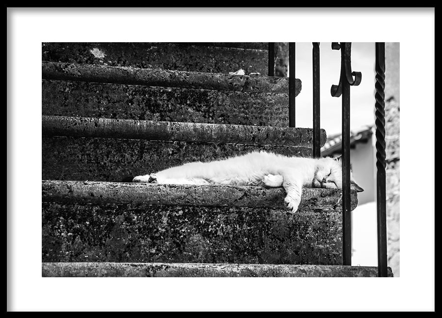Poster - Slow Life
