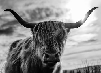 Poster - Scottish Long