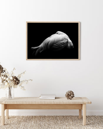 Poster - Beauty in Dark