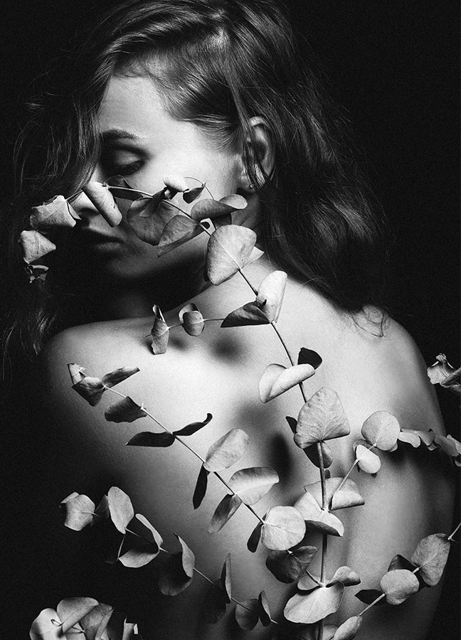 Canvastavla - Eucalyptus