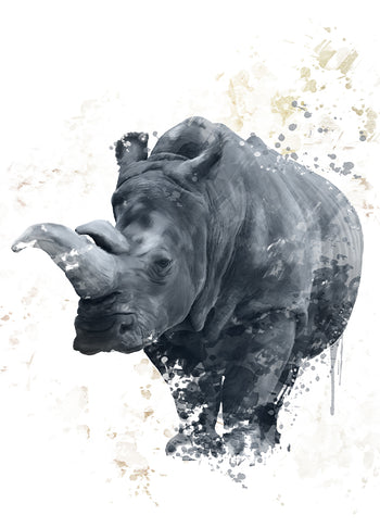Poster - Theodor