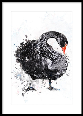 Poster - Gustav