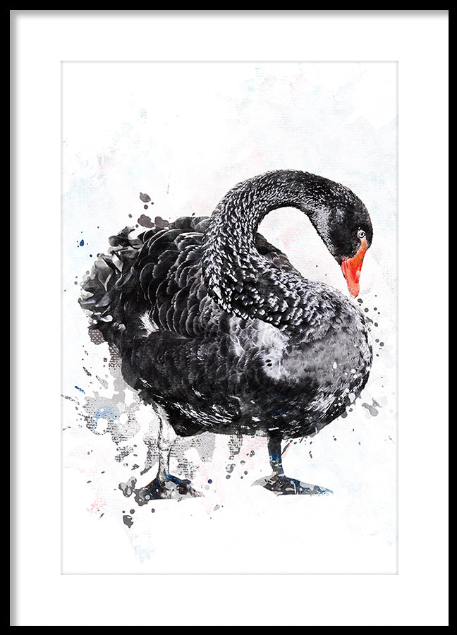 Poster - Gustav