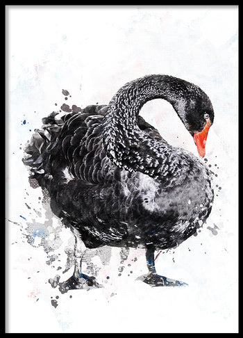 Poster - Gustav