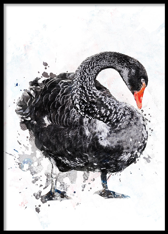 Poster - Gustav