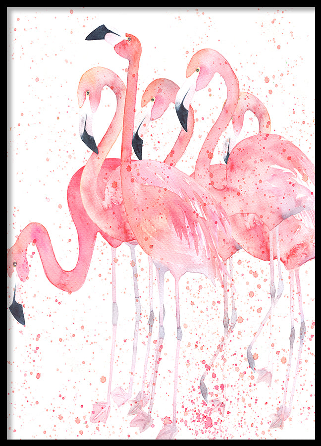 Poster - Flamingos