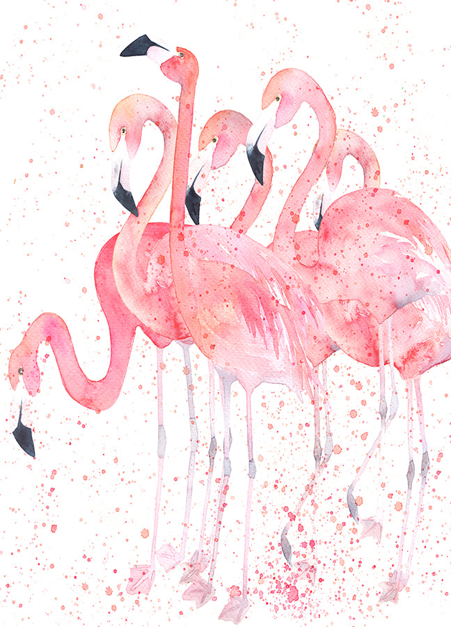 Poster - Flamingos