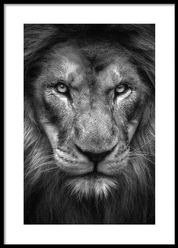 Poster - King