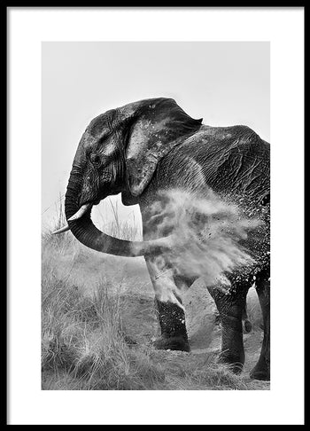 Poster - Strength