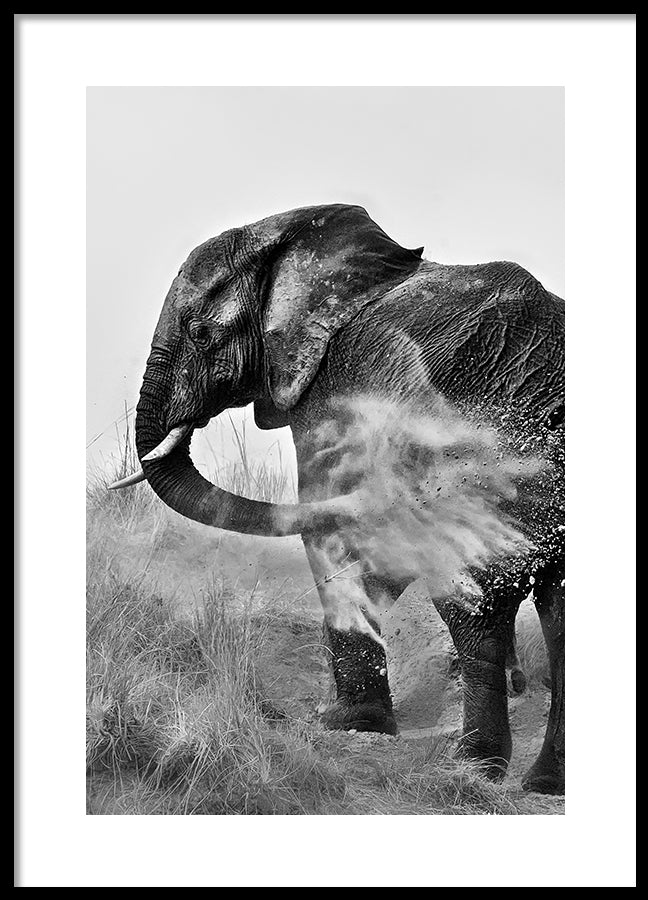 Poster - Strength