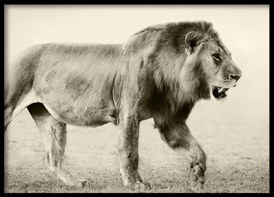 Poster - Botswana