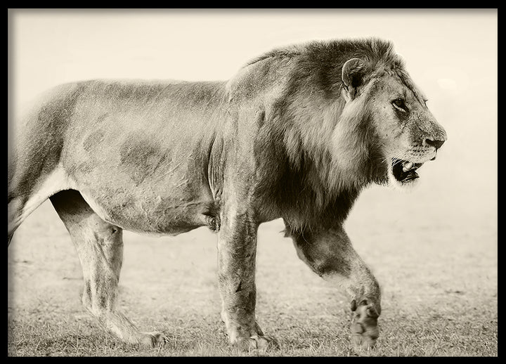 Poster - Botswana