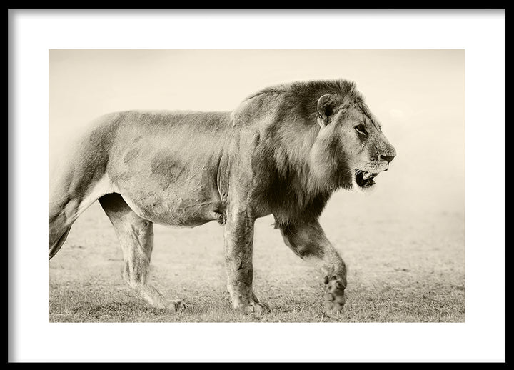 Poster - Botswana
