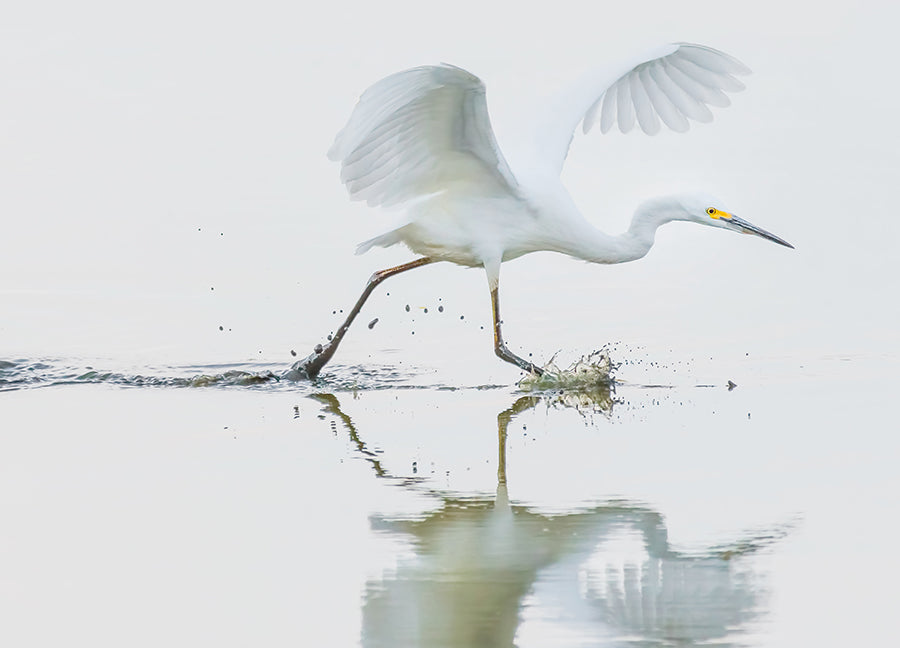 Poster - Touchdown