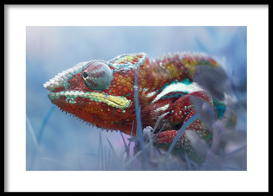 Poster - Slink