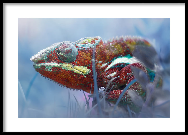 Poster - Slink