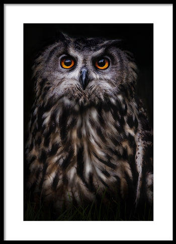 Poster - The Wise