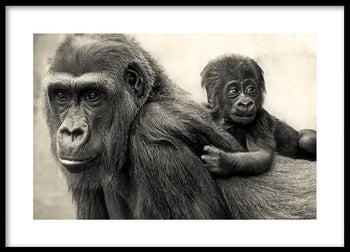 Poster - Father and Son