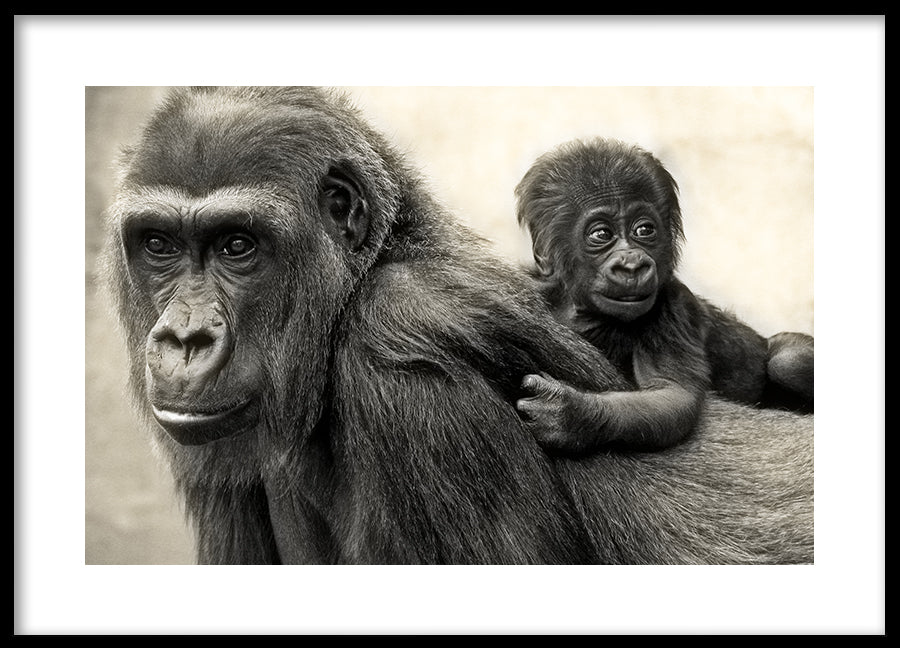 Poster - Father and Son