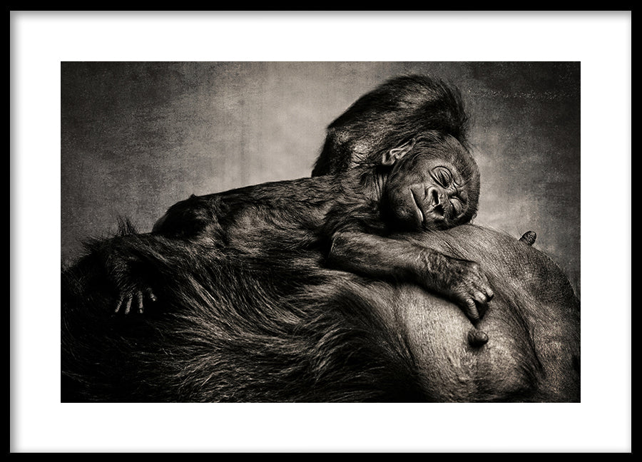 Poster - Safe