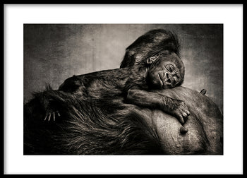 Poster - Safe