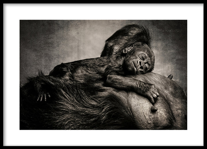 Poster - Safe