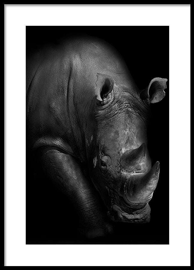 Poster - Horn
