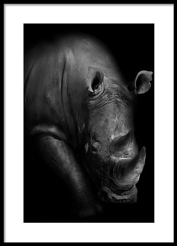 Poster - Horn