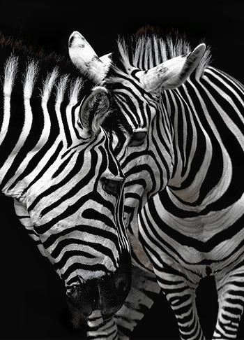 Poster - Stripes
