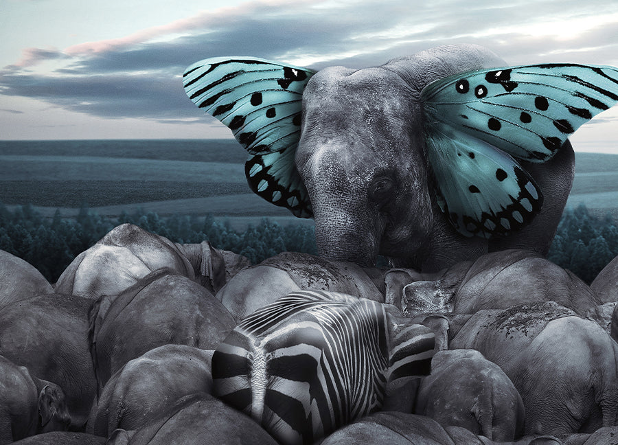 Poster - Fly on Wings of Dreams