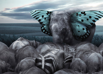 Poster - Fly on Wings of Dreams
