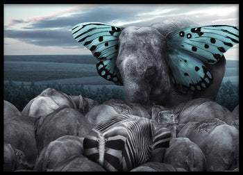 Poster - Fly on Wings of Dreams