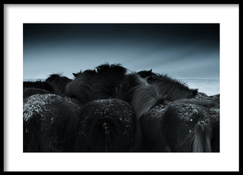 Poster - Blue Down