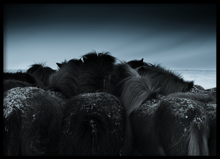 Poster - Blue Down