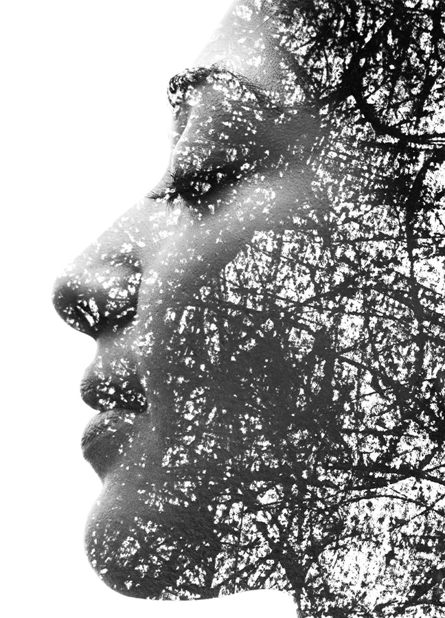 Poster - Face