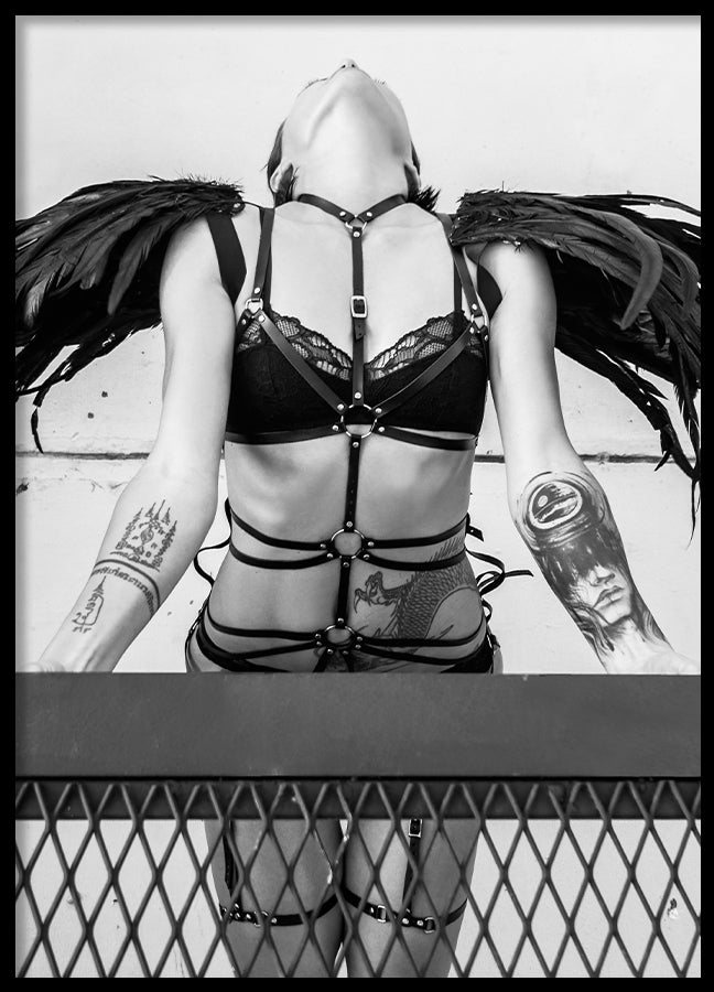 Poster - Amaryllis