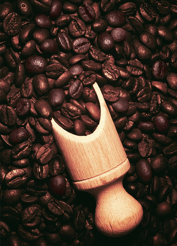 Poster - Coffe beans