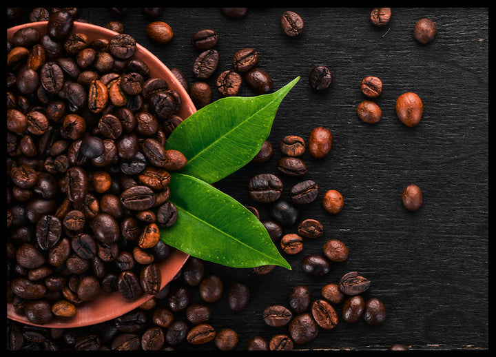 Poster - Arabica