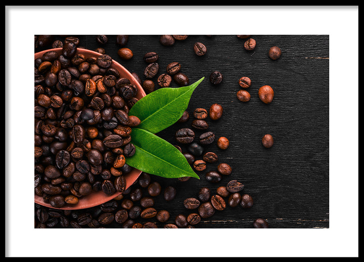 Poster - Arabica