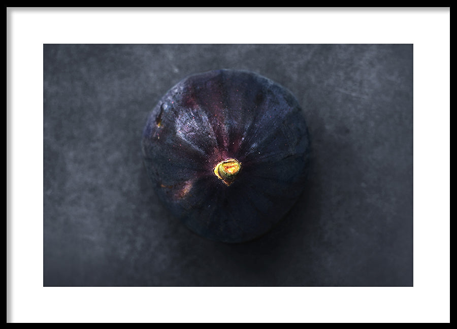 Poster - Fig