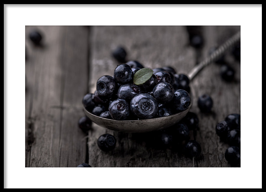 Poster - Blueberries