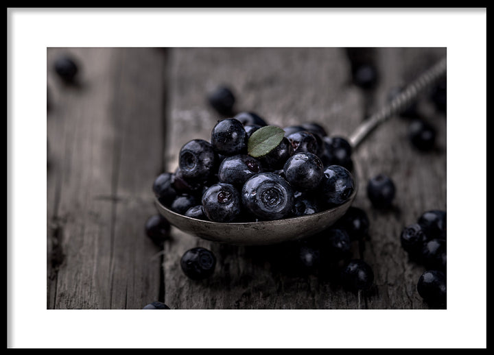 Poster - Blueberries