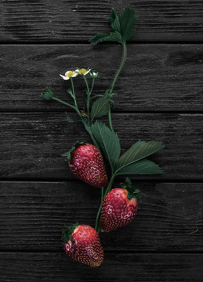 Poster - Strawberry