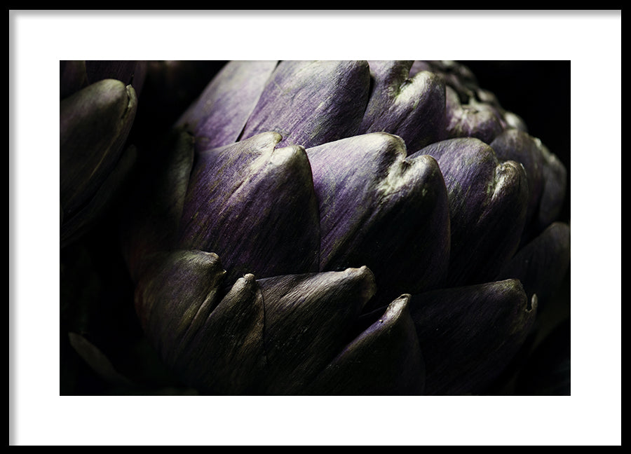 Poster - Artichoke