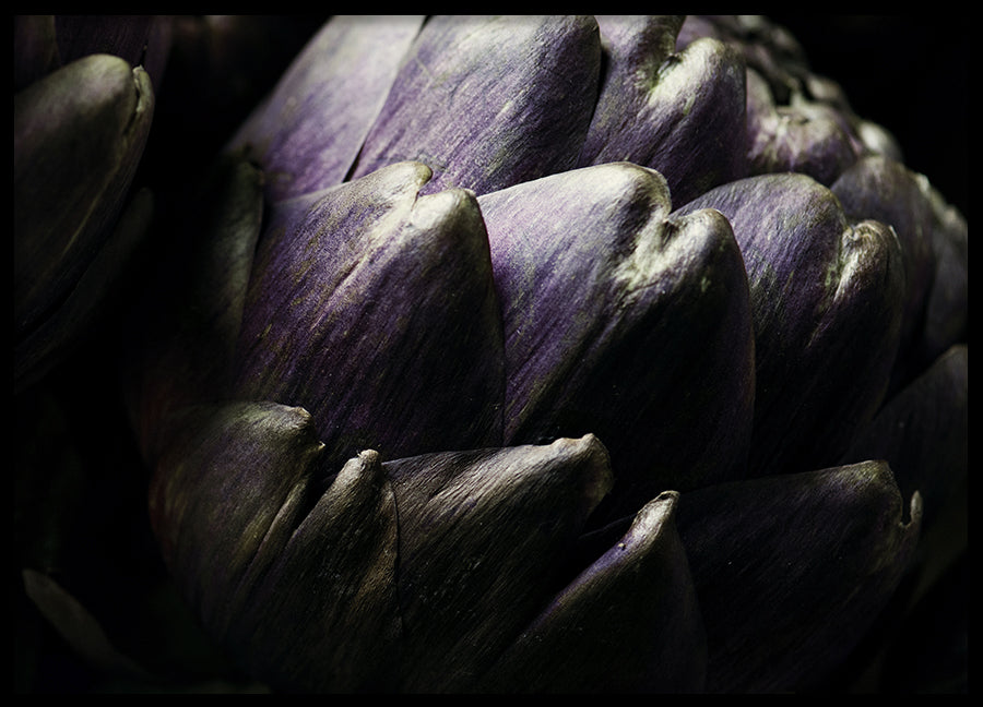 Poster - Artichoke
