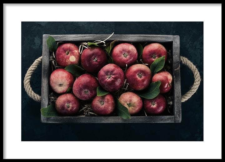 Poster - Fresh red apples