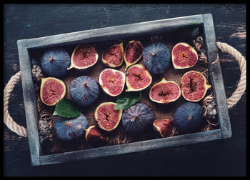 Poster - Blue Fig