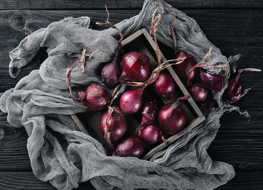 Poster - Ripe onion