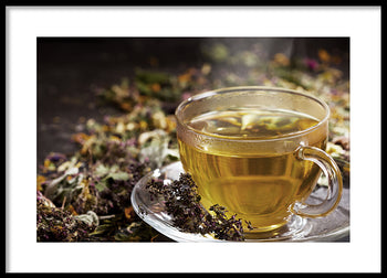 Poster - Herba