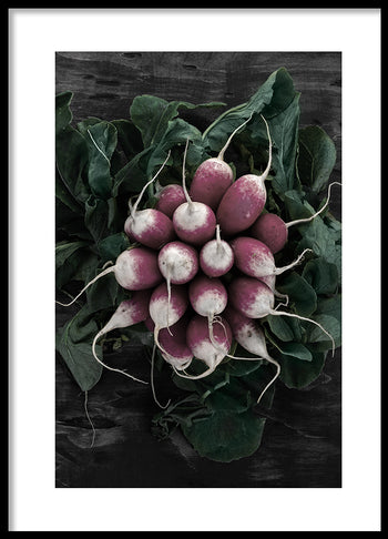 Poster - Radish